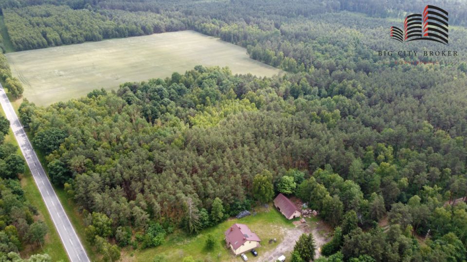 Działka leśna Lipinki