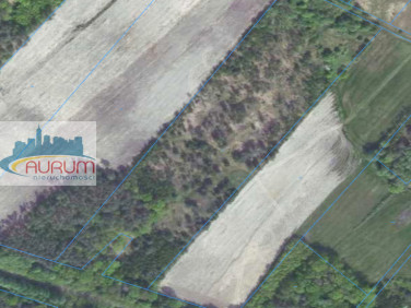 Działka rolna Biedrzychowice Dolne