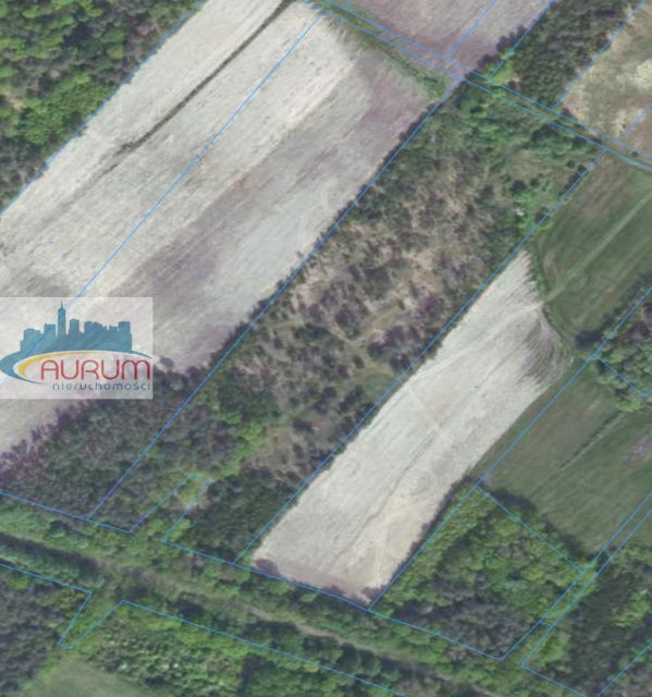 Działka rolna Biedrzychowice Dolne