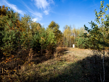 Działka budowlana Żabia Wola