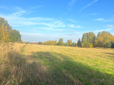 Działka budowlana Wyględy