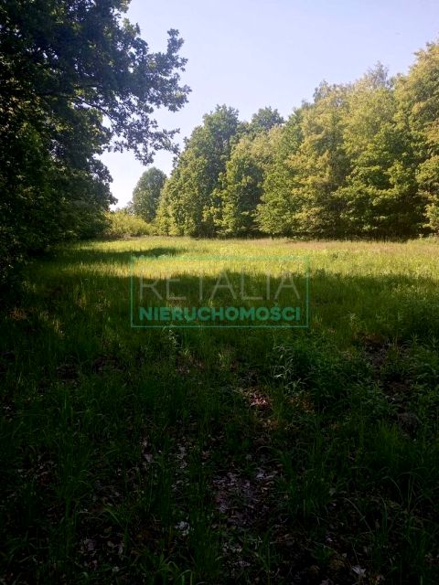 Działka budowlana Chrzanów Mały