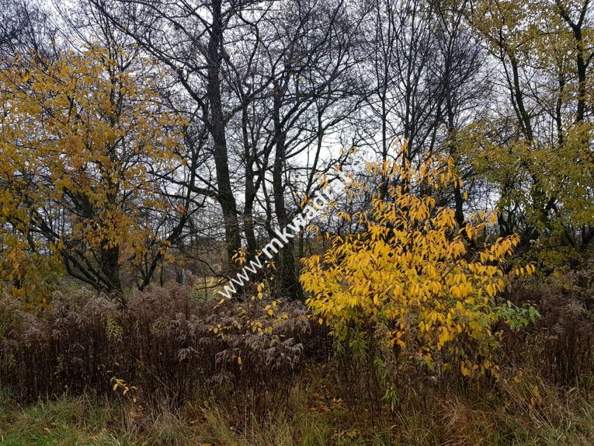 Działka budowlana sprzedam
