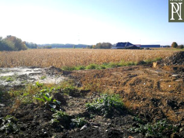 Działka budowlana Brzegi