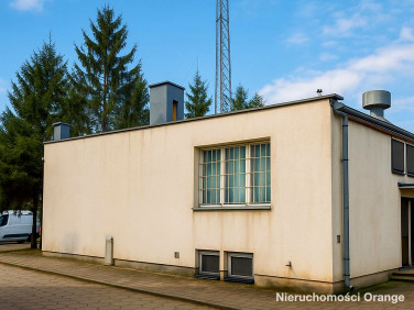 Lokal Golub-Dobrzyń