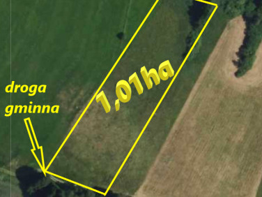 Działka rolna Pieńki