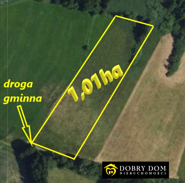 Działka rolna Pieńki