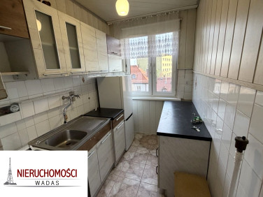 Mieszkanie Gliwice wynajem