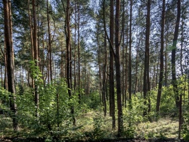 Działka budowlana Warszawa