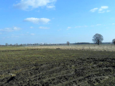 Działka budowlana Dymaczewo Nowe