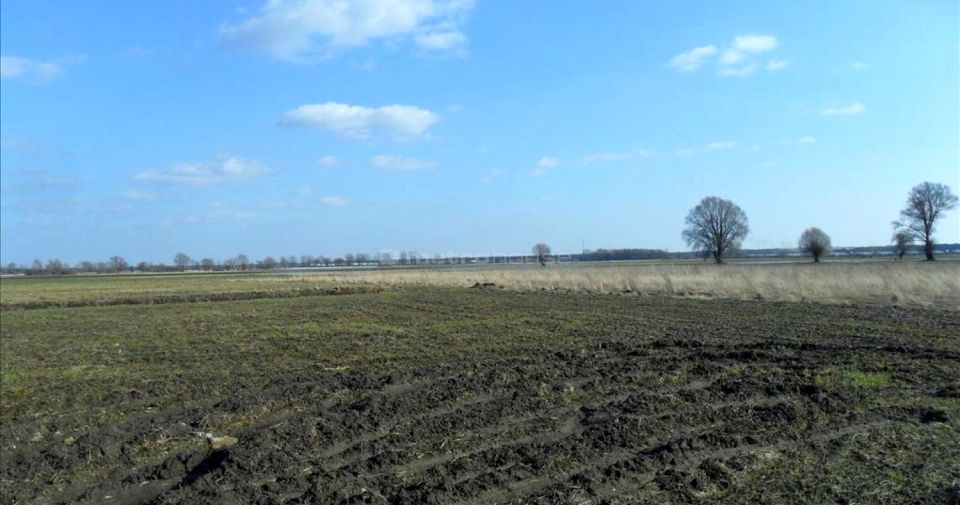 Działka budowlana Dymaczewo Nowe