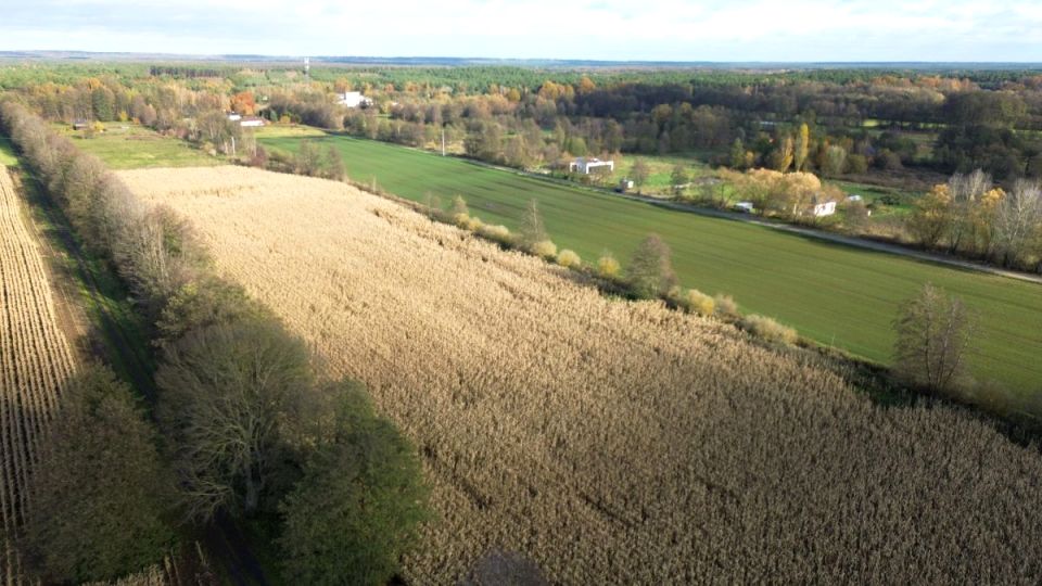 Działka budowlana Górsk