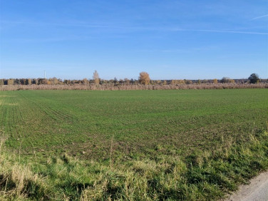 Działka budowlana Szczedrzyk