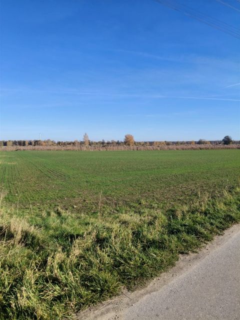 Działka budowlana Szczedrzyk