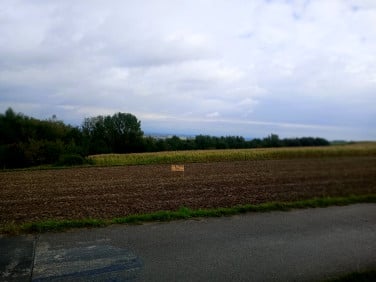 Działka budowlano-rolna Tuligłowy