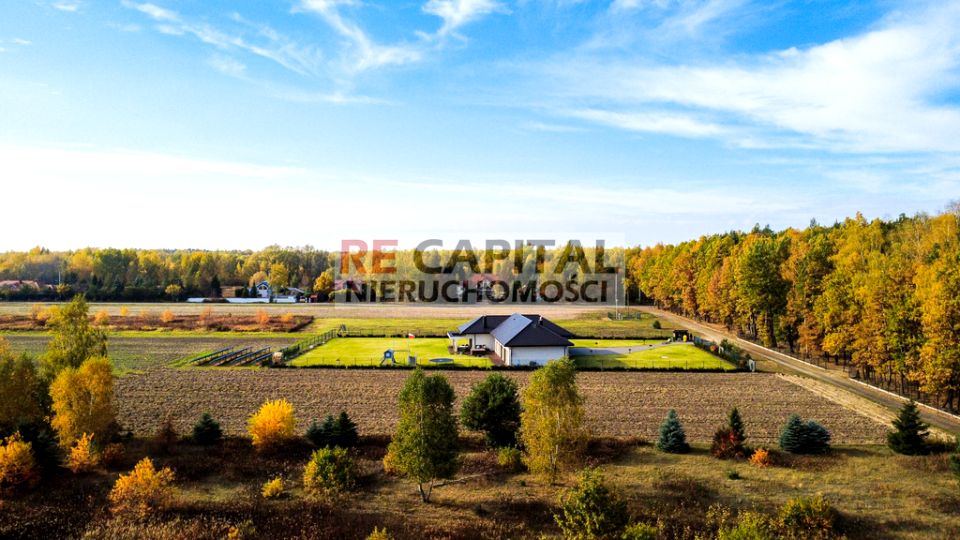 Działka budowlana BORZĘCIN DUŻY sprzedam