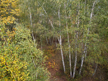 Działka budowlana Pęcice Małe