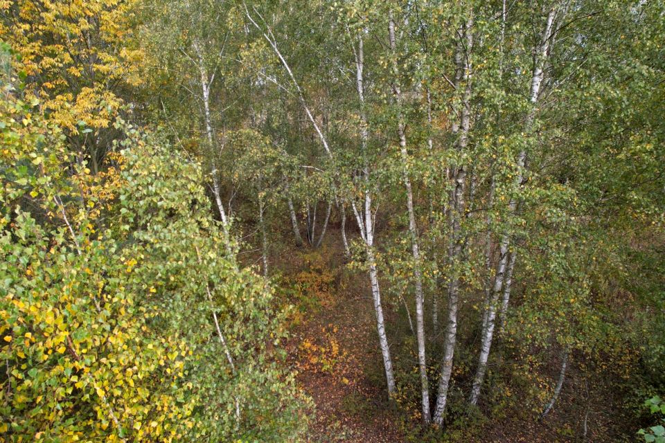 Działka budowlana Pęcice Małe