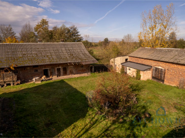 Działka Dalborowice