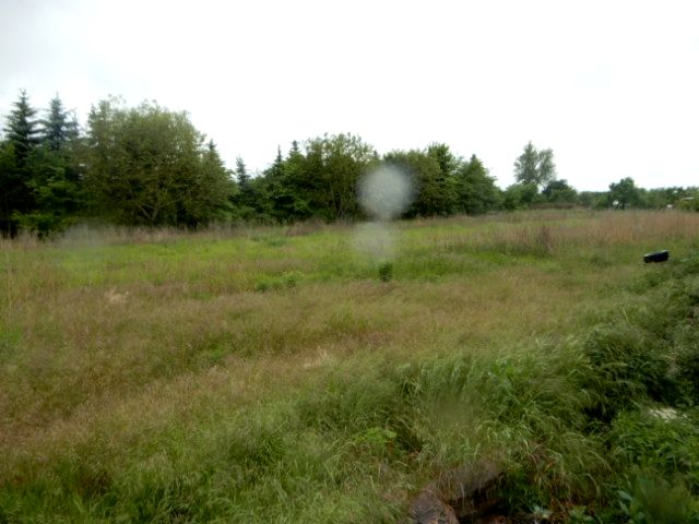 Działka rolna Oborzany