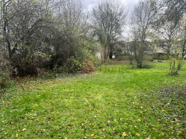 Działka rolna Lwówek