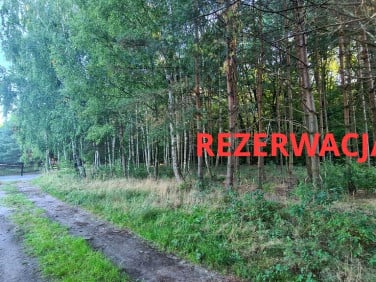 Działka Ojrzanów