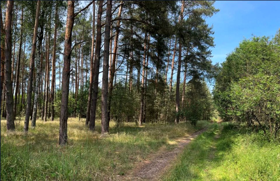 Działka rolna Trzebule