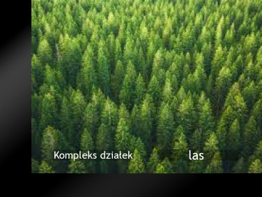 Działka leśna Złatna