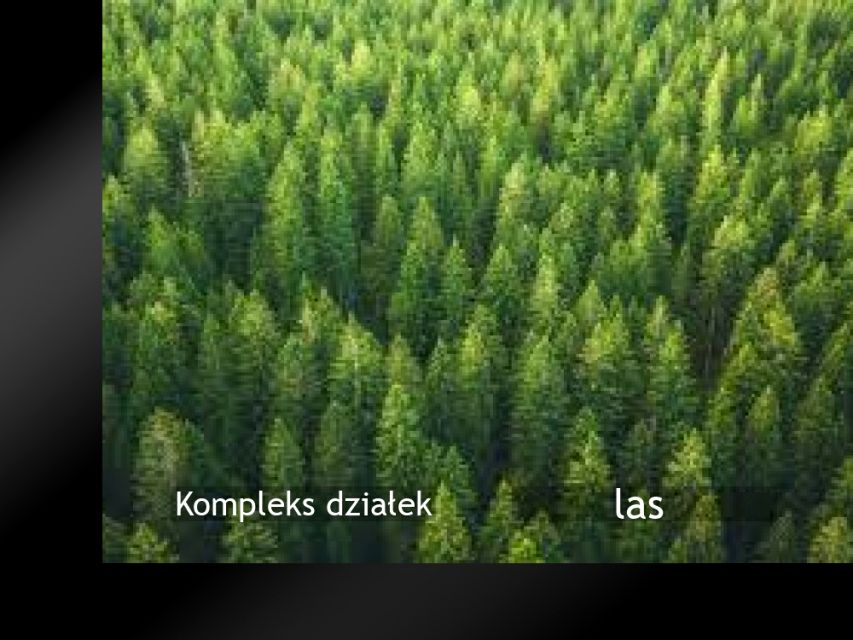 Działka leśna Złatna