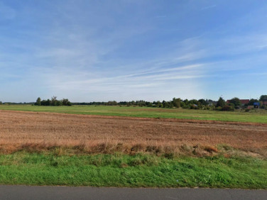 Działka rolna Kolsko