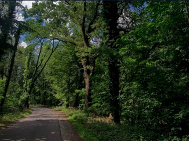 Działka budowlana Świbinki