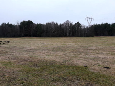 Działka rolna Rudka-Skroda