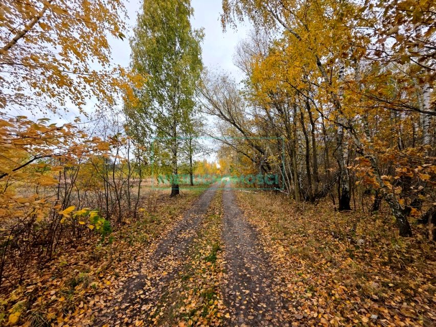 Działka rolna Władków