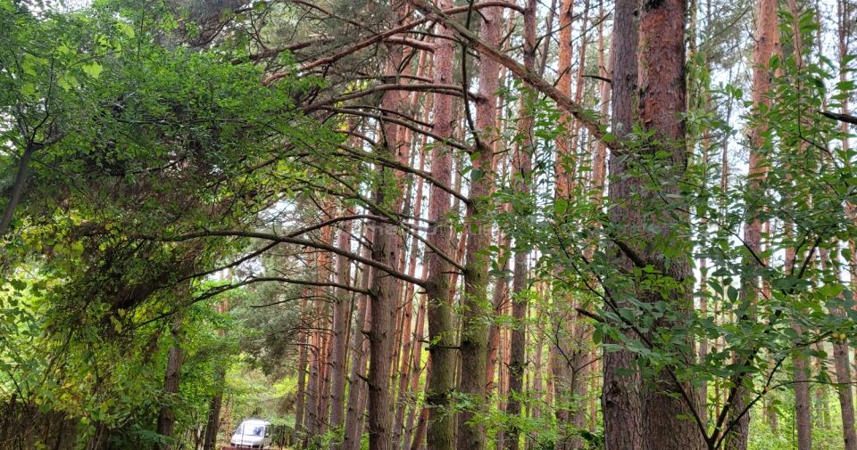 Działka budowlana Borki sprzedam