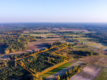Działka leśna Skotniki