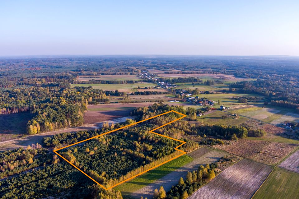 Działka leśna Skotniki
