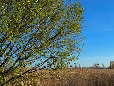 Działka rekreacyjna Wrocław