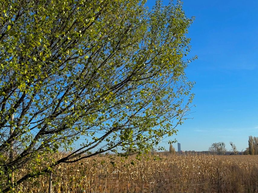 Działka rekreacyjna Wrocław