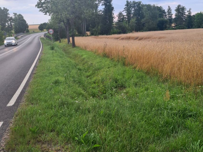 Działka rolna Kleszewo