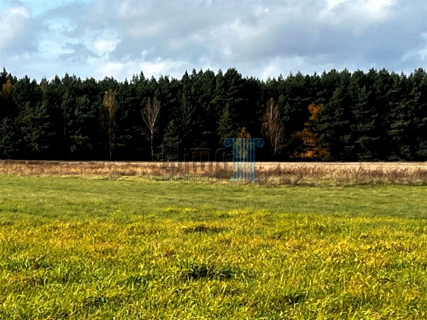 Pusta działka Nowe Dąbie