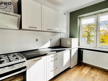 Mieszkanie Bielsko-Biała wynajem