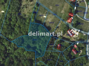 Działka leśna Górki