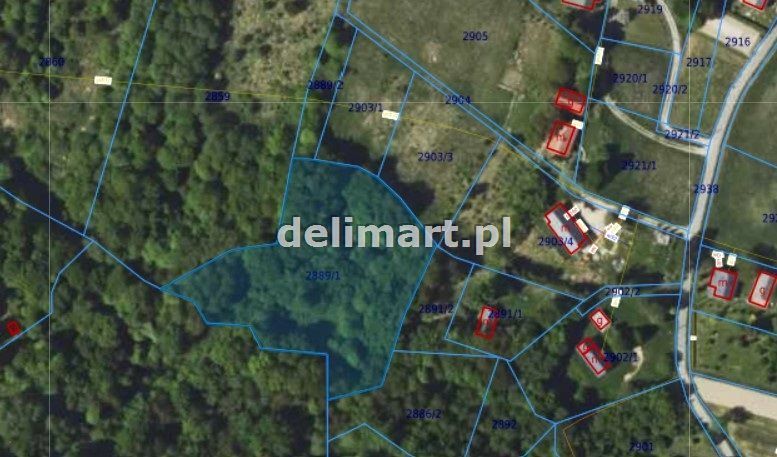 Działka leśna Górki