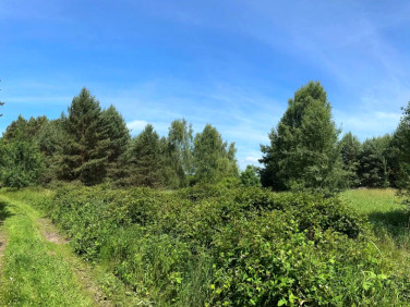 Działka rolna Trzebule