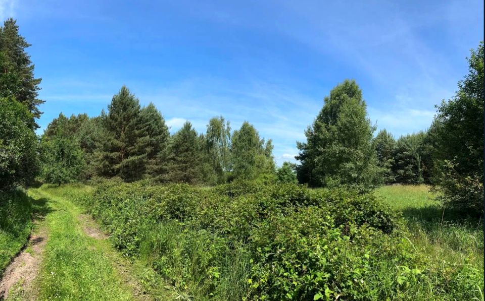 Działka rolna Trzebule