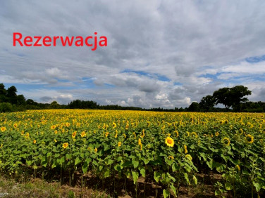 Działka Wierzyce
