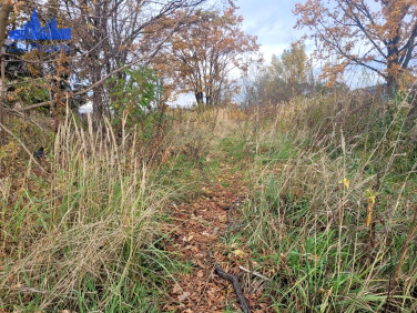 Działka budowlana Marki