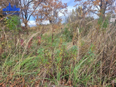 Działka budowlana Marki sprzedam