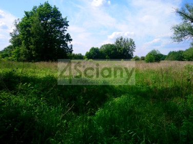 Działka inwestycyjna Grodzisk Mazowiecki