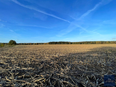 Pusta działka Podanin